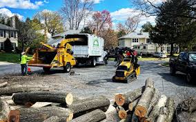 Best Lawn Drainage Solutions  in , PA