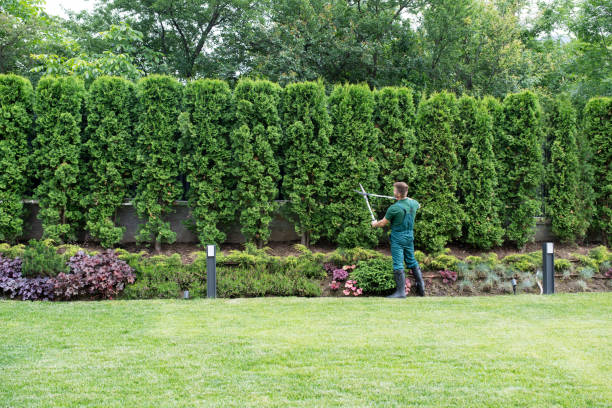 Best Tree and Shrub Care  in , PA