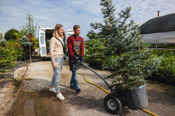 Best Pest Control for Lawns  in , PA